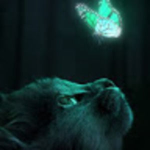 Meet your Posher, Liz